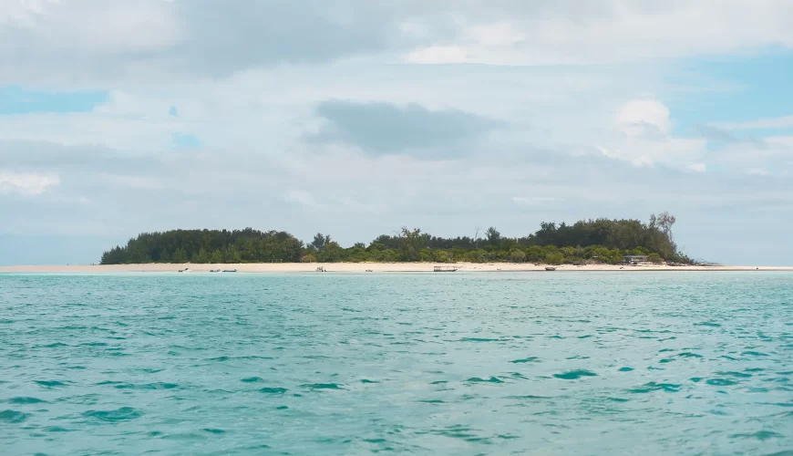 Best Diving Sites in Zanziba