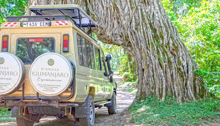 Cultural Safari in Tanzania