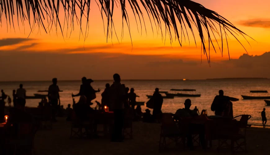 How to Plan the Perfect Family Safari in Tanzania