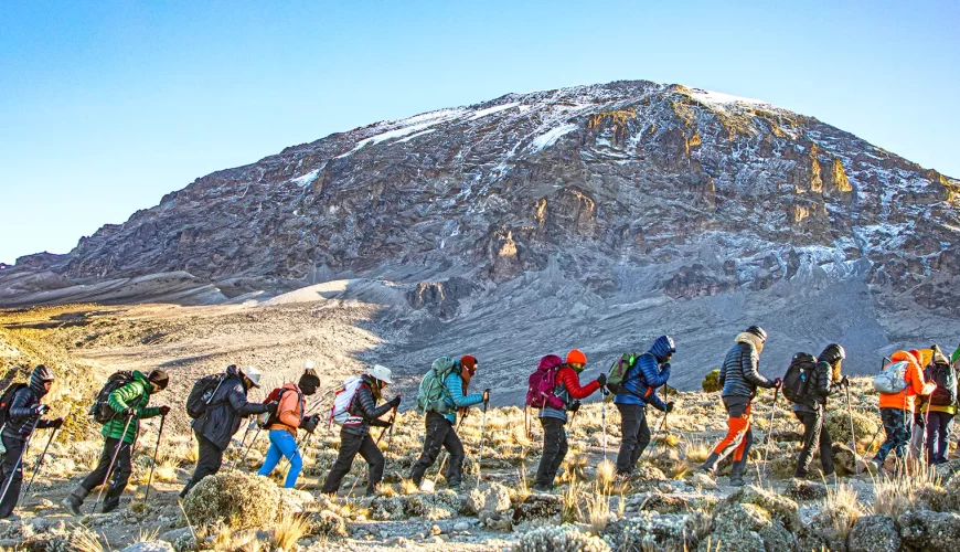 Inspiring Kilimanjaro Success Stories from Real Climbers