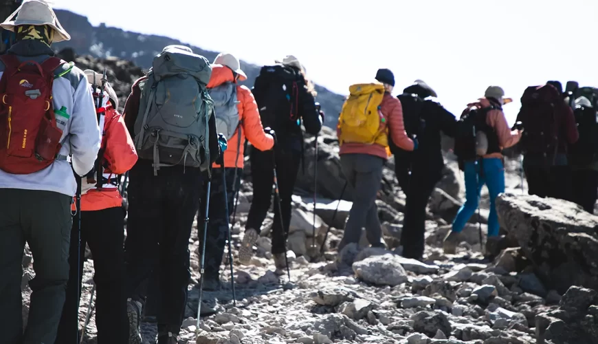 Lemosho Route Kilimanjaro