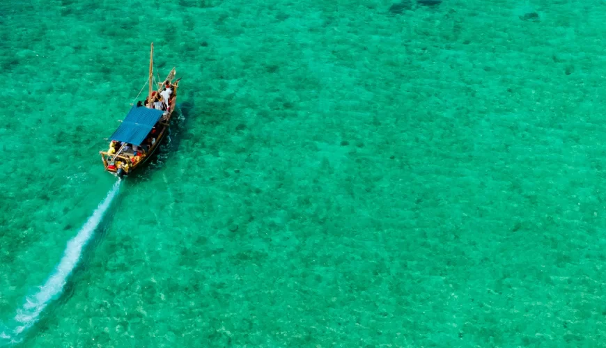 Zanzibar Spice Tour Guide