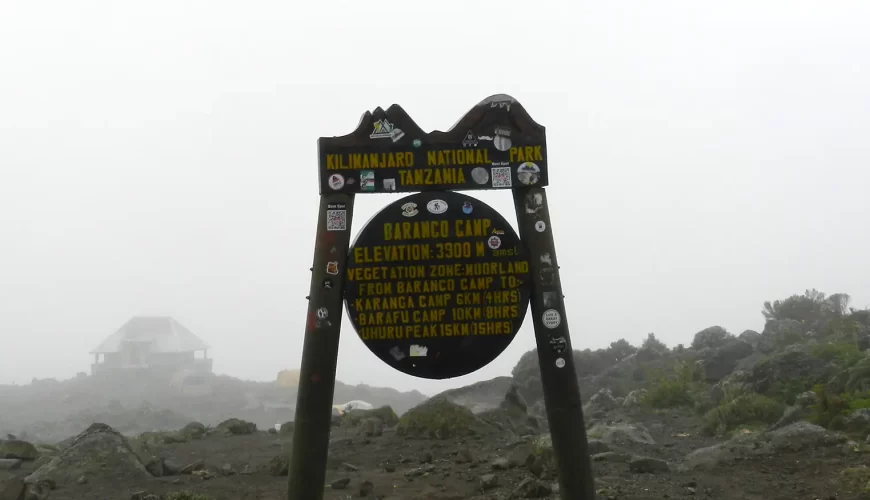 From Preparation to Celebration: A Timeline for Climbing Kilimanjaro