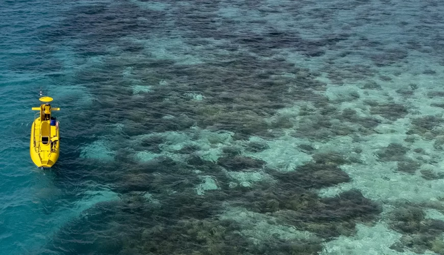 Best Diving Sites in Zanzibar